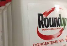 Sentencia del «Caso Roundup»: Monsanto tendrá que pagar 289,2 millones de dólares a un ex jardinero con cáncer terminal Sentencia del "Caso Roundup": Monsanto tendrá que pagar 289,2 millones de dólares a un hombre con cáncer terminal