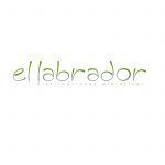 09ED1B73-4D2F-4A4A-8A01-71A4856023EF