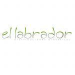7D865E0D-51E6-4991-9018-ABB1CE380F0F