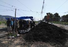 Crece el interés entre agricultores sobre la práctica del compostaje Crece el interés entre agricultores sobre la práctica del compostaje