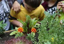 Bilbao acoge una nueva edición del Festival Infantil MamaTerra Bilbao acoge una nueva edición del Festival Infantil MamaTerra