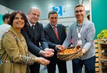 BioCultura Bilbao muestra la consolidación del sector ecológico en Euskadi BioCultura Bilbao muestra la consolidación del sector ecológico en Euskadi