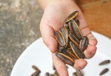 Nutrición infantil: Comer pipas, una nutritiva merienda entre amigos Comer pipas nutritiva merienda entre amigos menjar pipes