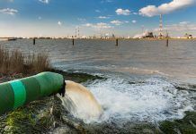 Pesticides disruptors endocrins en els nostres rius Pesticidas disruptores endocrinos en nuestros ríos disruptors endocrins contaminants hormonals rius
