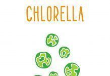 Chlorella, l’alga desintoxicant Chlorella, el alga desintoxicante desintoxicant