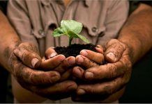 «Agroecología, el futuro de la alimentación», Hilal Elver en BioCultura Madrid Agroecología, el futuro de la alimentación Hilal Elver en BioCultura Madrid