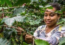 New report outlines more than 300 community-based farming solutions to protect biodiversity New report outlines more than 300 community-based farming solutions to protect biodiversity