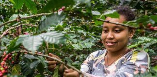 New report outlines more than 300 community-based farming solutions to protect biodiversity New report outlines more than 300 community-based farming solutions to protect biodiversity