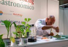 Más de 70.000 visitantes por el cambio ecológico consagran el liderazgo de BioCultura Madrid Más de 70.000 visitantes por el cambio ecológico consagran BioCultura Madrid