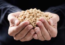 Soja texturizada, beneficios y usos como proteína vegetal Soja texturizada, beneficios y usos como proteína vegetal