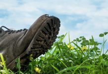 Petjada ecològica: ens estem menjant el planeta Huella ecológica: nos estamos comiendo el planeta petjada ecològica