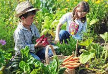 Consumo ecológico: Lo “bio” empieza en la cuna consumo ecológico plan europeo alimentación ecológica