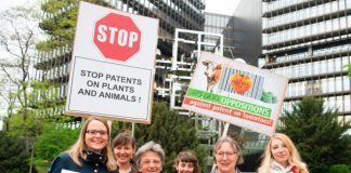 Syngenta patent on tomatoes revoked after mass opposition La patente de Syngenta sobre los tomates, revocada tras oposición masiva Syngenta patent on tomatoes revoked after mass opposition Photo: Sebastian Widmann