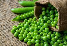 Marzo: Habas y guisantes en la cocina Marzo: Habas y guisantes en la cocina