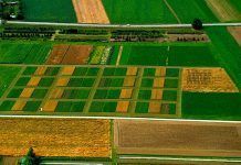 L’agricultura ecològica mitiga el canvi climàtic L'agricultura ecològica mitiga el canvi climàtic La agricultura ecológica mitiga el cambio climático Organic farming mitigates climate change