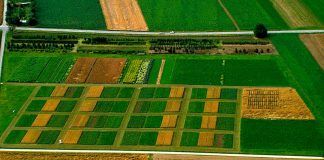 Organic farming mitigates climate change L'agricultura ecològica mitiga el canvi climàtic La agricultura ecológica mitiga el cambio climático Organic farming mitigates climate change