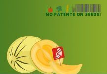 End the legal chaos at the European Patent Office! End the legal chaos at the European Patent Office! acaba con el caos legal en la oficina europea de patentes oep
