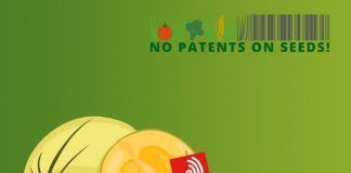 End the legal chaos at the European Patent Office! End the legal chaos at the European Patent Office! acaba con el caos legal en la oficina europea de patentes oep
