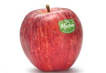 MARLENE®, SÓC BIO Marlene Bio hija de los alpes