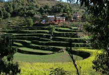 L’agricultura ecològica impulsa la sostenibilitat en l’agricultura global organic farming Sustainable agriculture for people and planet – for example at a farm in Nepal. (Photo: Helvetas) agricultura ecológica sostenibilidad