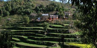 Organic farming drives sustainability in global agriculture organic farming Sustainable agriculture for people and planet – for example at a farm in Nepal. (Photo: Helvetas) agricultura ecológica sostenibilidad