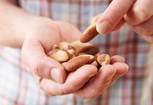 Alimentos que ayudan a la función cerebral Aliments que ajuden a la funció cerebral