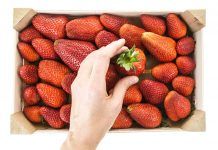 En què m’he de fixar en escollir les fruites? ¿En qué me tengo que fijar al escoger las frutas? En què m'he de fixar en escollir les fruites?