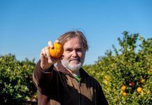 Alimentació ecològica: més cara que la convencional?