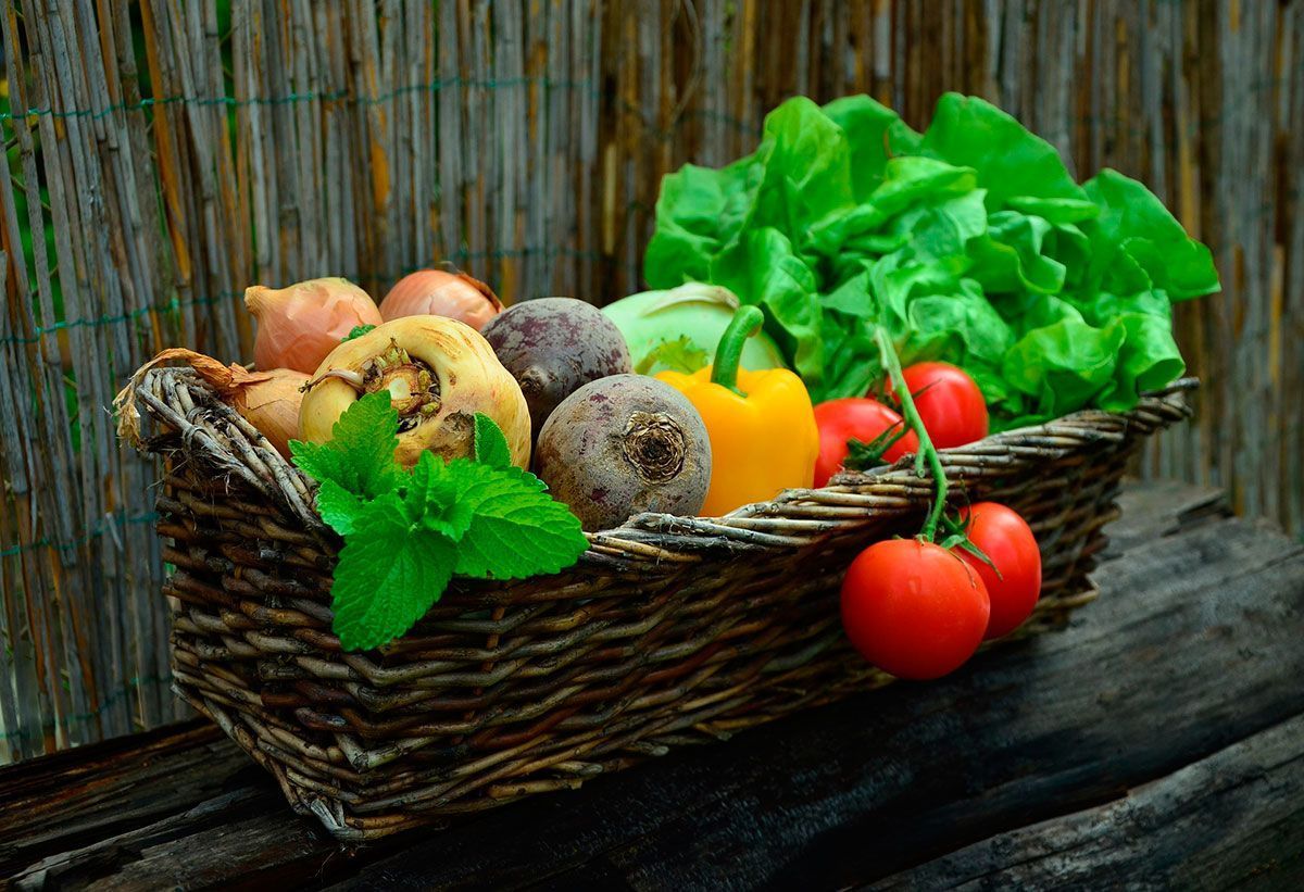 SEAE presenta un documento exclusivo con evidencias científicas sobre la producción ecológica