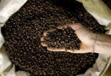 Un comerç que beneficia les persones i al planeta Un comerç que beneficia les persones i al planeta