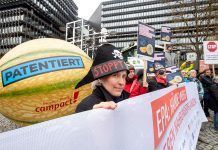 ¡No a las patentes sobre semillas! No a les patents sobre llavors!