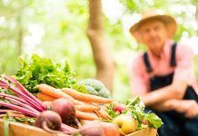 Transición a una economía limpia y un ejemplo: la agricultura biológica Transición a una eco-nomía limpia y un ejemplo: la agricultura biológica