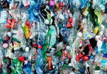 Cada persona ingiere 2.000 pedazos de microplásticos por semana Cada persona ingiere 2.000 pedazos de microplásticos cada semana