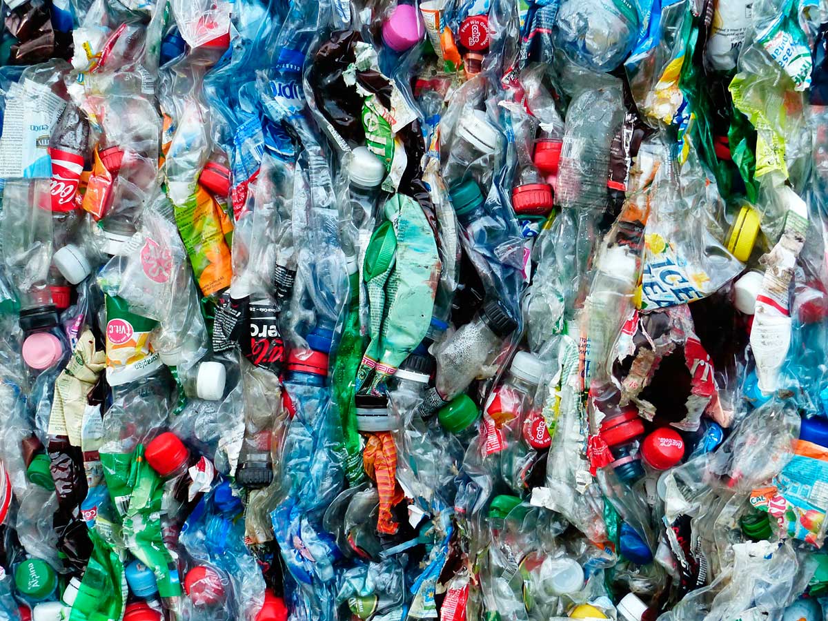 Cada persona ingiere 2.000 pedazos de microplásticos cada semana