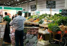 BioCultura llega a Valencia espoleada por la bonanza del sector BioCultura llega a Valencia espoleada por la bonanza del sector