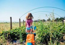 El Premio Nacional Huertos Educativos Ecológicos alcanza casi 700 proyectos desde su primera edición El Premio Nacional Huertos Educativos Ecológicos alcanza casi 700 proyectos desde su primera edición