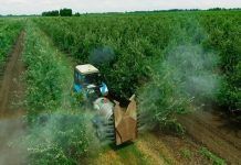Firma por el fin del clorpirifós: el neurotóxico que contamina tu fruta