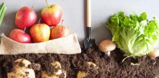 Organic can be a solution to achieving the Sustainable Development Goals L'alimentació ecològica pot contribuir a complir els ODS