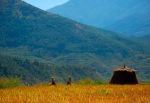 La agricultura ecológica es la clave para combatir la degradación de los suelos 100% organic agriculture is the key to combat land degradation