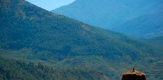 100% organic agriculture is the key to combat land degradation