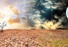 Más de 300 organizaciones se suman a la Huelga Mundial por el Clima Más de 300 organizaciones se suman a la Huelga Mundial por el Clima biocultura valencia 2019
