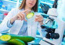 Bromatología, la ciencia de los alimentos Bromatología, la ciencia de los alimentos la ciència dels aliments