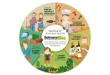 Organitza una activitat a la Setmana Bio 2019! Inscriu-la fins al 29 de setembre Organitza una activitat a la Setmana Bio 2019! Inscriu-la fins al 29 de setembre