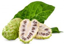 Noni, el anticancerígeno que protege el ADN y evita su alteración Noni, protege el ADN y evita su alteración