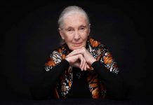 BIOFACH and VIVANESS: Jane Goodall opens the next round BIOFACH and VIVANESS: Jane Goodall opens the next round