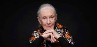 BIOFACH and VIVANESS: Jane Goodall opens the next round BIOFACH and VIVANESS: Jane Goodall opens the next round