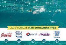 Las cinco marcas que más contaminan con sus plásticos Greenpeace revela las cinco marcas que más contaminan con sus plásticos