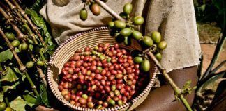 Sustainable product market continues to expand Sustainable product market continues to expand