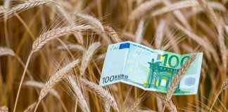CAP proposals “A complete failure of the political class” Els grans capitals desembarquen al sector bio
