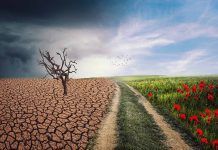 Cambio climático y producción agraria en terceros países Cambio climático y producción agraria en terceros países